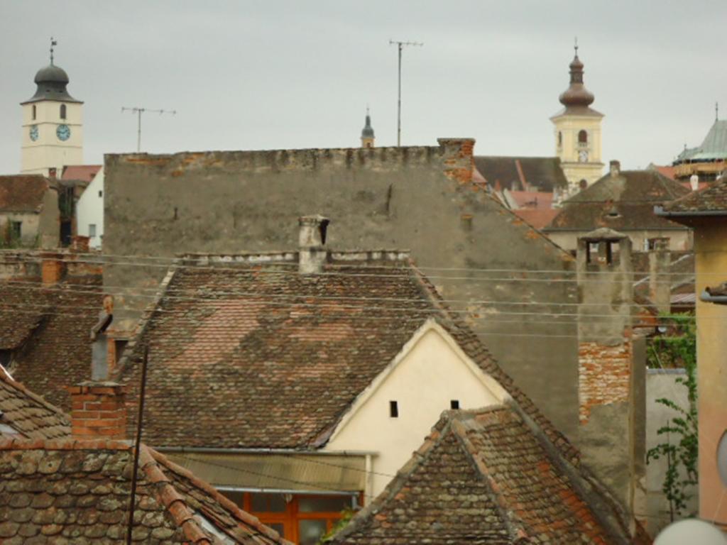 Pensiunea Cocosul Rosu Sibiu Buitenkant foto