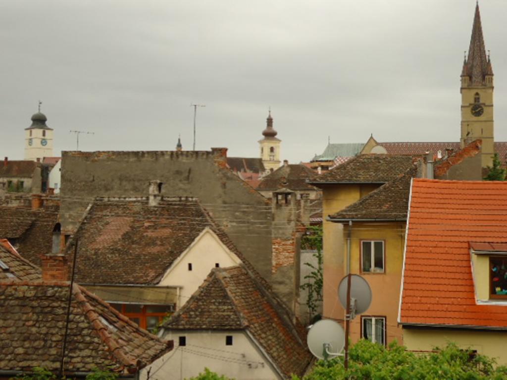 Pensiunea Cocosul Rosu Sibiu Buitenkant foto