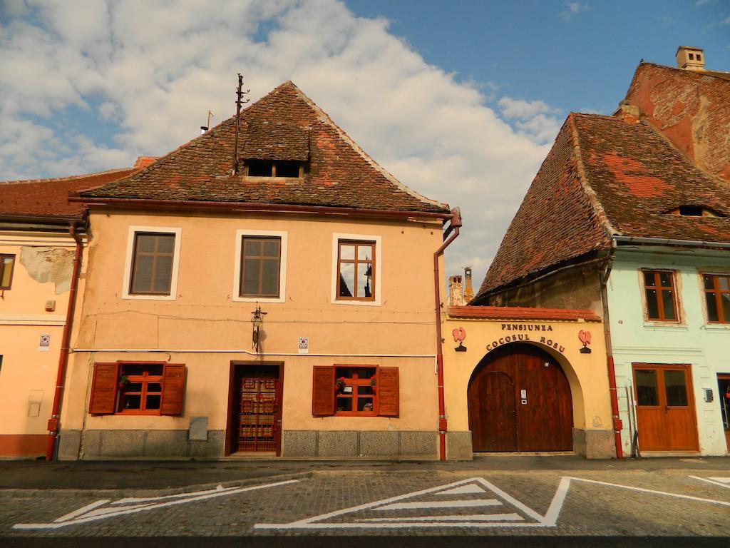 Pensiunea Cocosul Rosu Sibiu Buitenkant foto