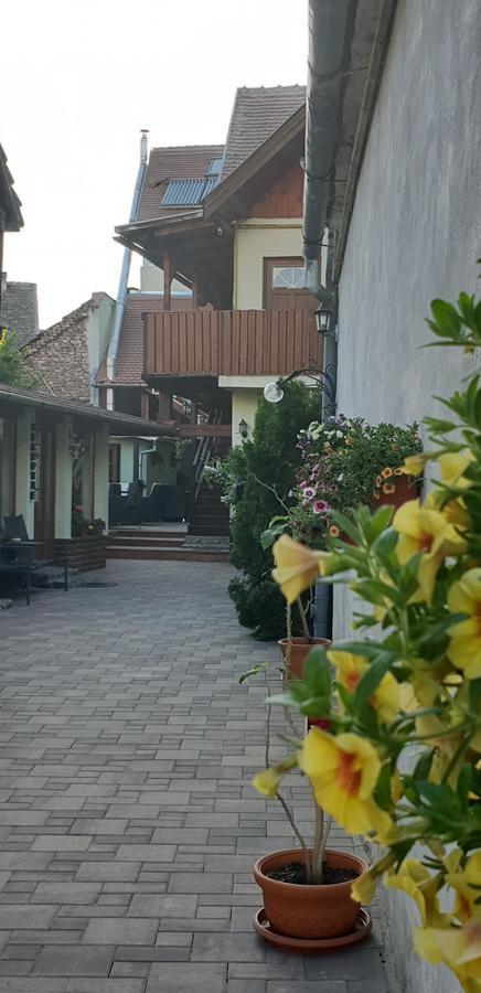 Pensiunea Cocosul Rosu Sibiu Buitenkant foto