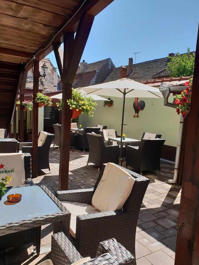 Pensiunea Cocosul Rosu Sibiu Buitenkant foto