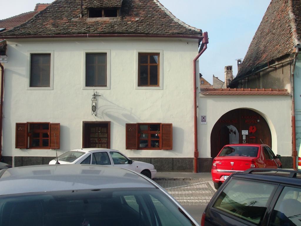 Pensiunea Cocosul Rosu Sibiu Buitenkant foto